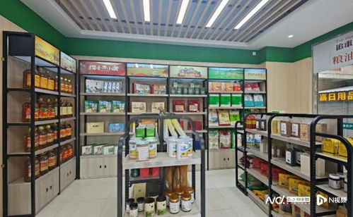 禅城供销农产品展示中心正式启用，超百种特色农产品惊艳亮相